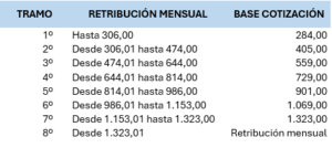 Bases cotización sistema especial empleados/as hogar
